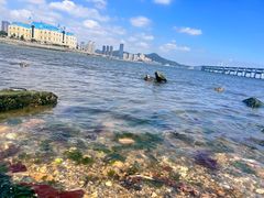 -黑石礁公园