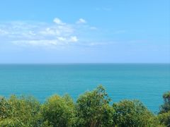 -广东惠东海龟国家级自然保护区