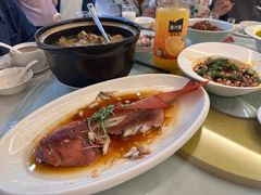 -金陵食府(林景店)
