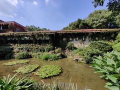 -中国茶叶博物馆(双峰馆区)