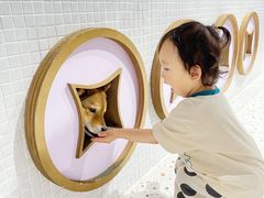 -柴务处·柴犬主题狗咖