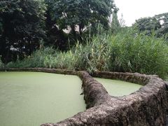 -成都市活水公园