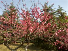 -白塘生态植物园