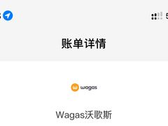 -Wagas沃歌斯(虹桥机场T1店)