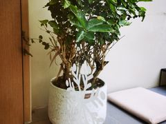 -稀物集咖啡(徽州大道店)
