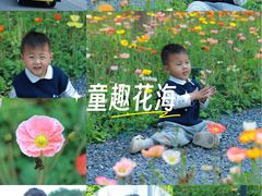 -云溪植物园