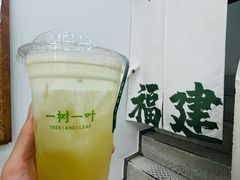 -一树一叶·福建茶档(石鼓路店)