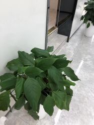 -悟空祛痘·诺奖技术专业店