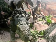 -国家自然博物馆