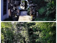 -绍兴东湖风景区