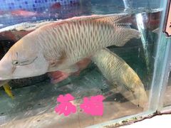 -欧记·龙城港(欣都店)