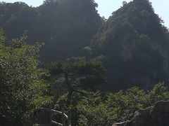 -王顺山国家森林公园