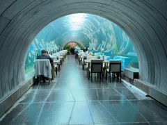 -涛·海底餐厅·美人鱼·自助餐·海底隧道(三亚海棠湾洲际度假酒店)