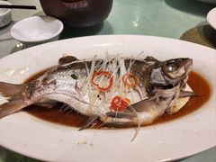 -刘胖子家常菜·蹄花焖藕(江汉路总店)