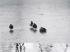 -后海公园