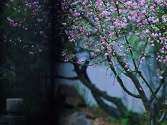 -虎丘山风景名胜区