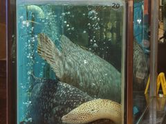 -四海之家(蛇口店)