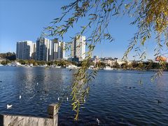 -大理洱海