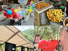 -将军关探险漂流