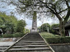 -上海佘山国家森林公园天马山园