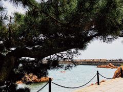 -青岛海滨风景区小青岛
