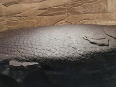-白鹤梁水下博物馆