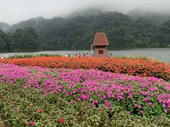 -广州市石门国家森林公园
