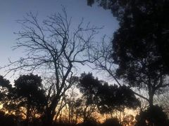 -李老五口水鸡(万寿路店)