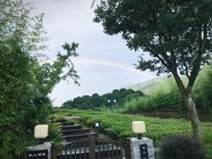 -帐篷客·溪龙茶谷度假酒店