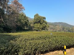 -灵顺寺