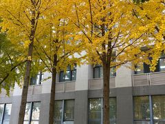 -东南大学(九龙湖校区)