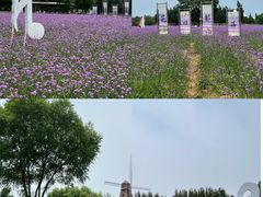 -渔岛海洋度假区