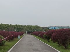 -千龙湖生态旅游度假区