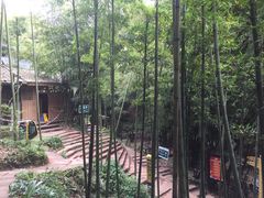 -川西竹海景区