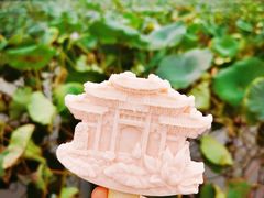 -济南大明湖景区