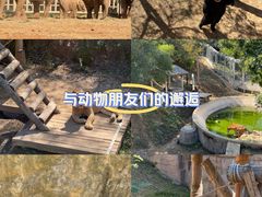 -石家庄市动物园