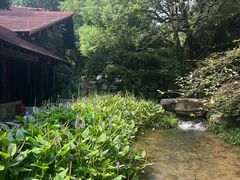 -中国茶叶博物馆(双峰馆区)