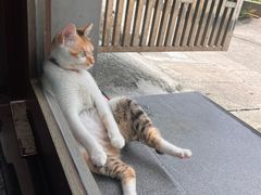 -Again Coffee Roaster(香蜜湖店)