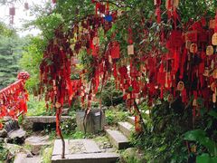 -苍山感通索道