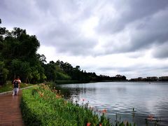 -南国桃园旅游度假区