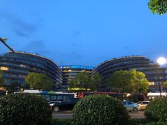 -杭州温德姆至尊豪廷大酒店