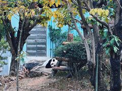-南宁市动物园