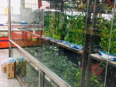-朝内南小街菜市场