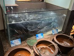 -上名堂·鱼头好吃(体育场路店)