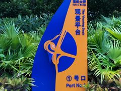 -演武大桥观景平台