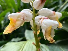 -点都德(广州白云山景区南门店)