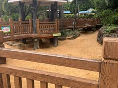 -荔湾区儿童公园