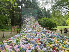 -上海共青森林公园