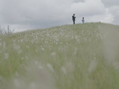 -白鹭湾湿地公园