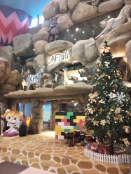 -卡通尼·Safari非洲探索乐园·生日会(金桥国际商业广场店)